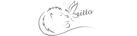 Criação de site profissional para empresa, logo de cliente